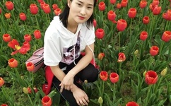 相亲才会赢网站